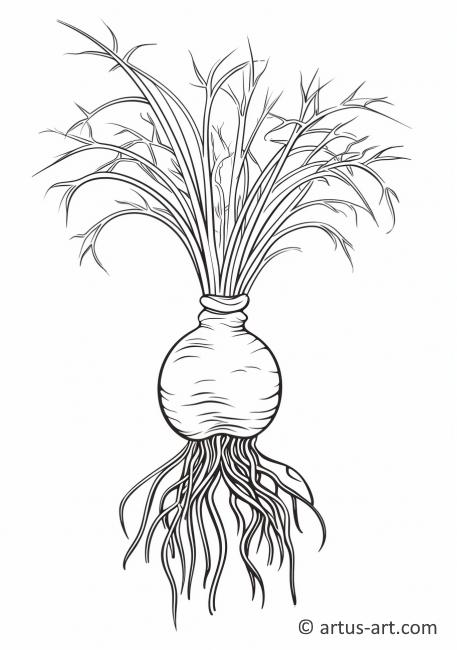 Página para colorear del sistema de raíces de la cebolla